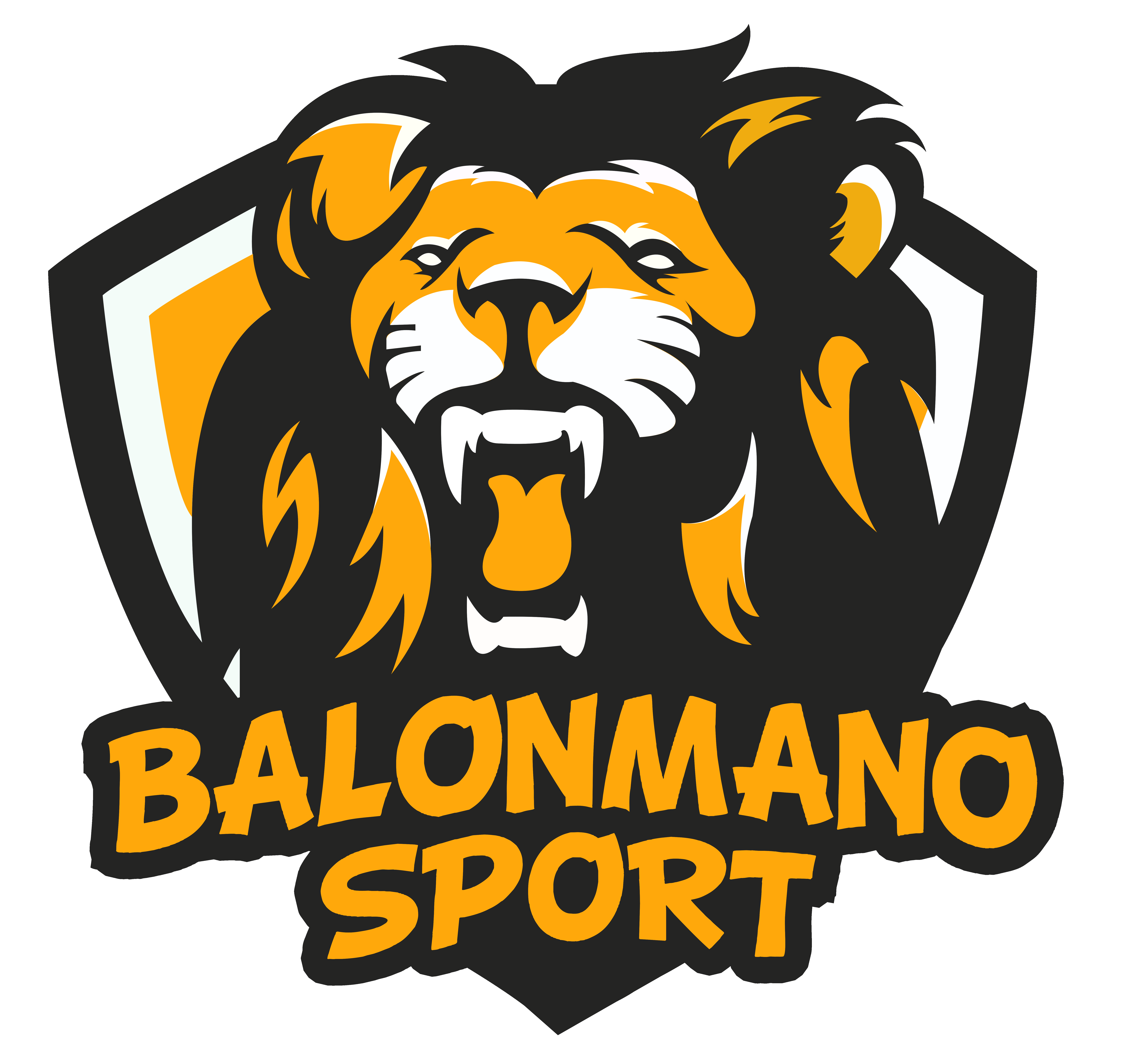 BalonmanoSPORT.com